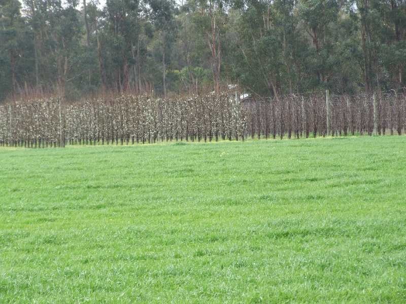 Lot 3244,  irishtown, Donnybrook WA 6239