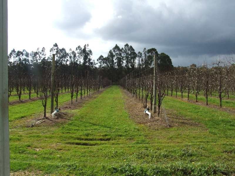 Lot 3244,  irishtown, Donnybrook WA 6239