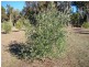 1412 Chapman Rd, Boyup Brook WA 6244