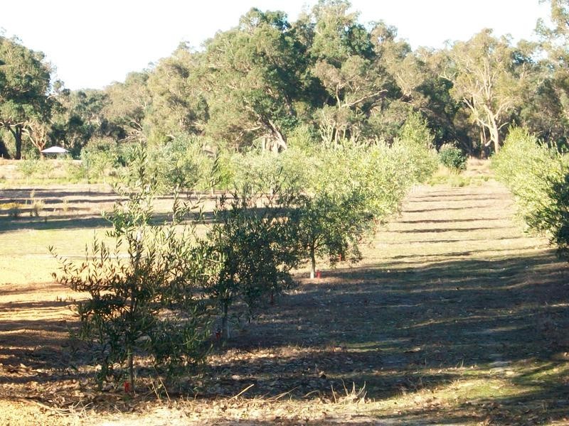 1412 Chapman Rd, Boyup Brook WA 6244