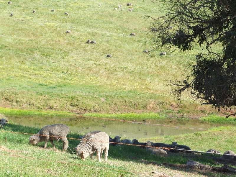 755 Southhampton, Balingup WA 6253