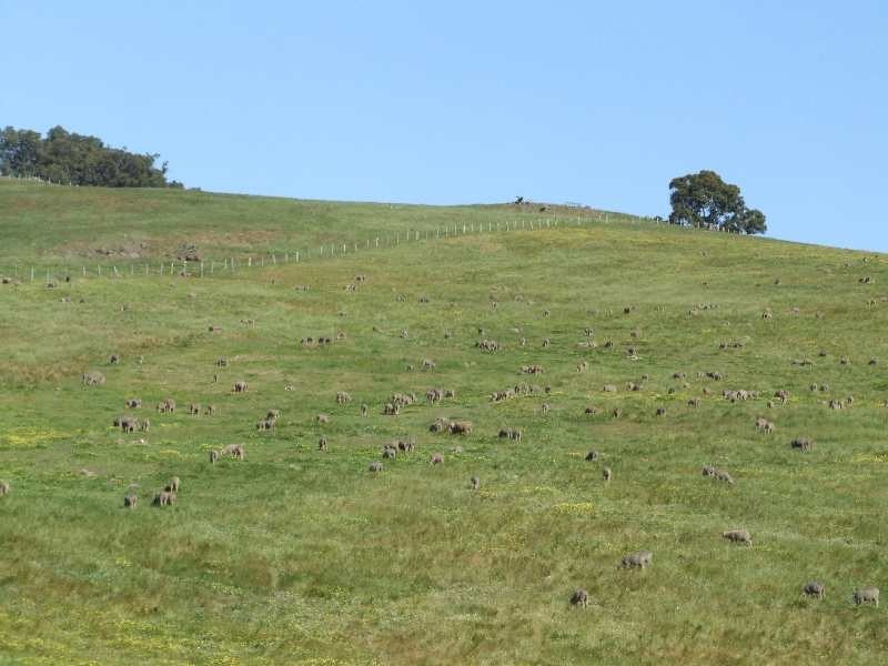 755 Southhampton, Balingup WA 6253