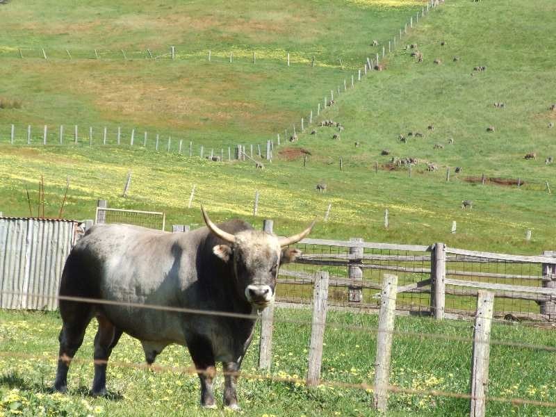 755 Southhampton, Balingup WA 6253