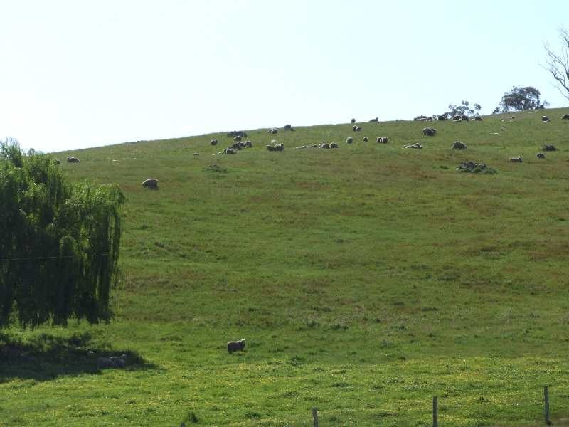 755 Southhampton, Balingup WA 6253