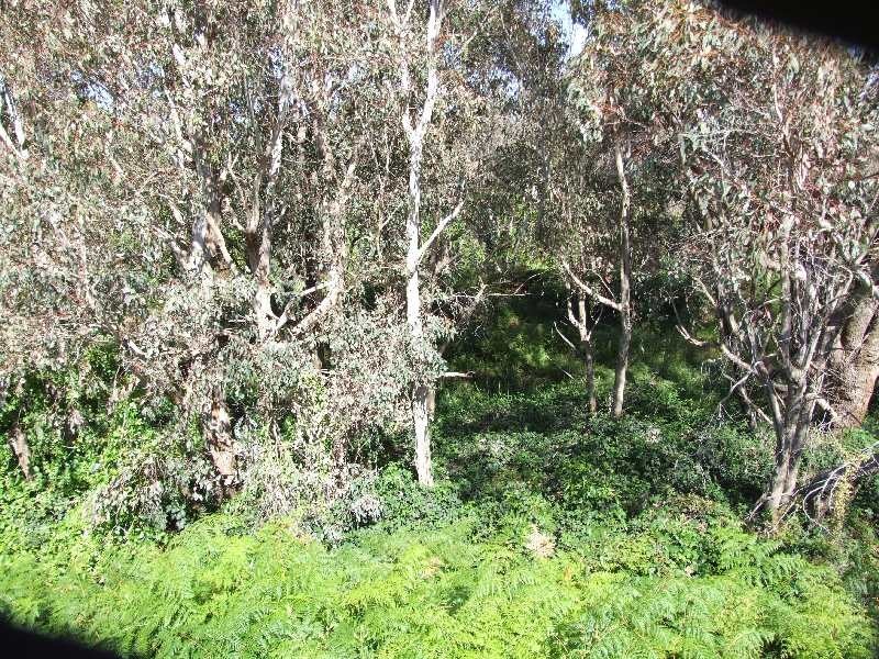 30 Dawson Place, Donnybrook WA 6239