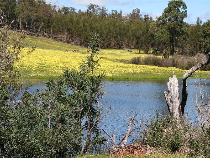 31 Knights Road, Argyle WA 6239