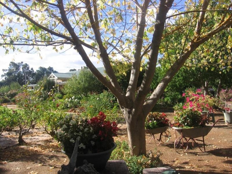 31 Knights Road, Argyle WA 6239