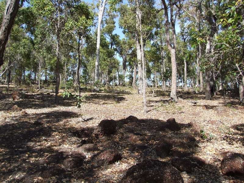 87 Myrtle Ridge, Argyle WA 6239