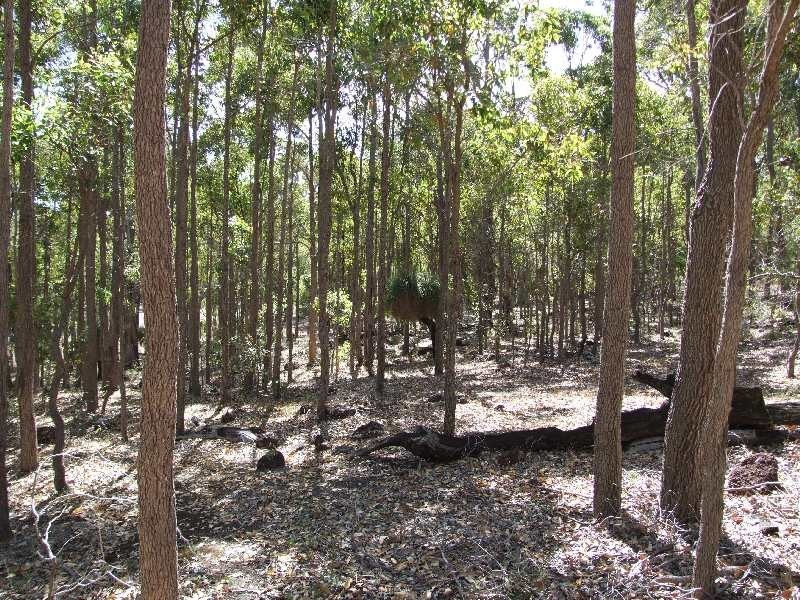 87 Myrtle Ridge, Argyle WA 6239