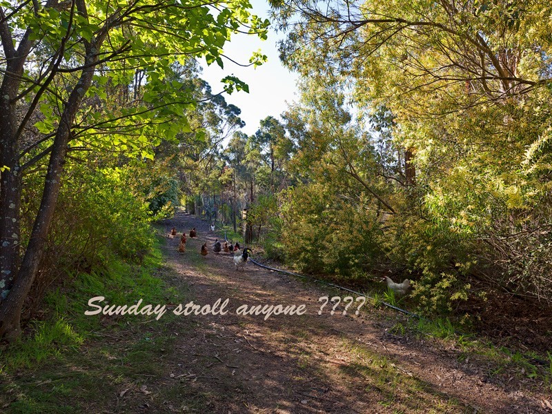 17642 South Western Highway Argyle, Donnybrook WA 6239