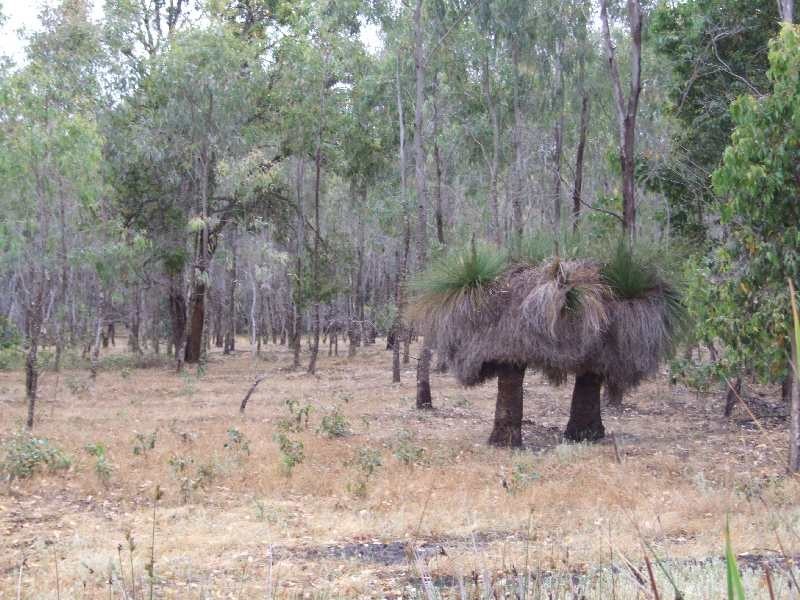 Lot 228,  Ridge View Av, Boyup Brook WA 6244