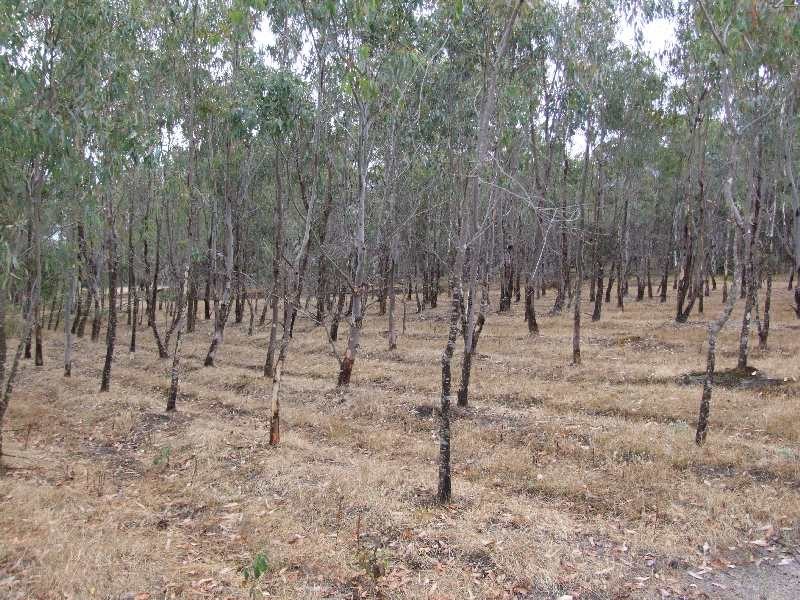 Lot 228,  Ridge View Av, Boyup Brook WA 6244