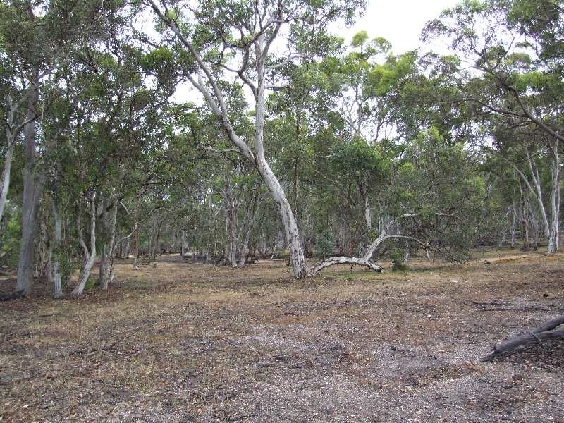 Lot 228,  Ridge View Av, Boyup Brook WA 6244