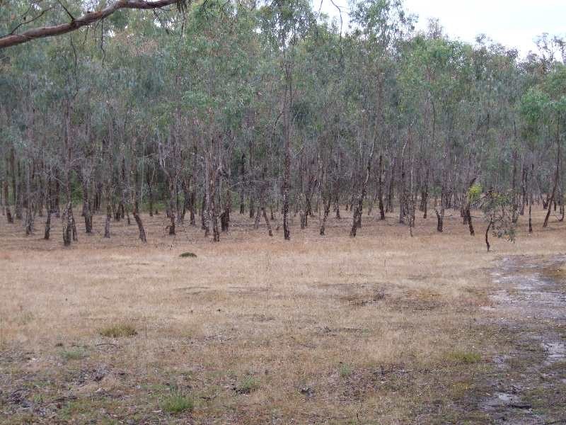 Lot 228,  Ridge View Av, Boyup Brook WA 6244