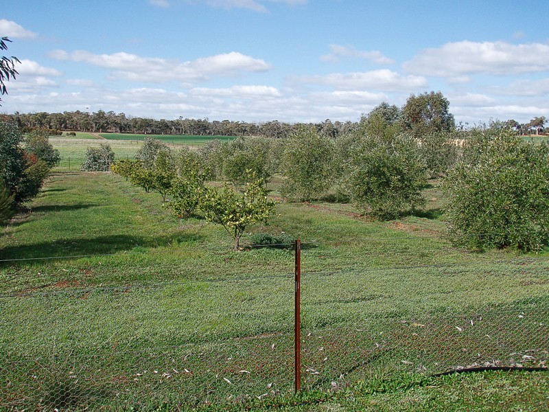 71 Tyrer Road, Brookton WA 6306