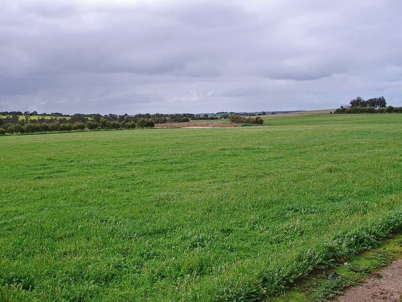 71 Tyrer Road, Brookton WA 6306