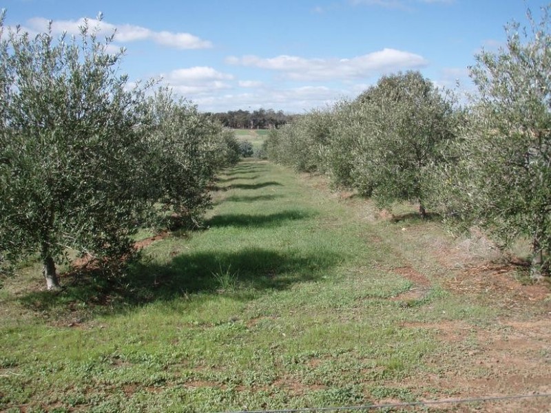 71 Tyrer Road, Brookton WA 6306