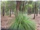145 Wade Road, Donnybrook WA 6239