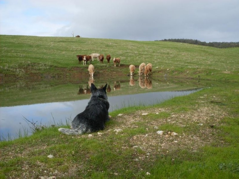 105 Mandalay Road, Donnybrook WA 6239