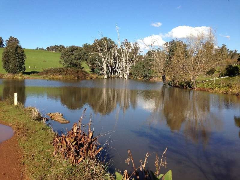327 Jones Rd, Kirup WA 6251