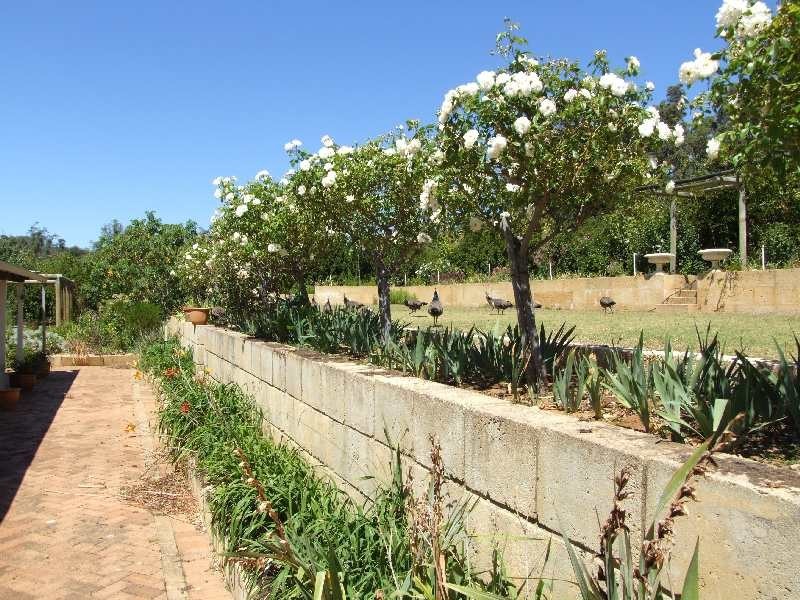 327 Jones Rd, Kirup WA 6251