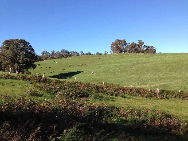 327 Jones Rd, Kirup WA 6251