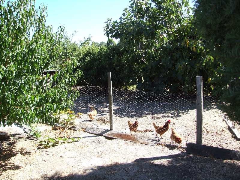 Lot 102, 20 Capel Street, Kirup WA 6251