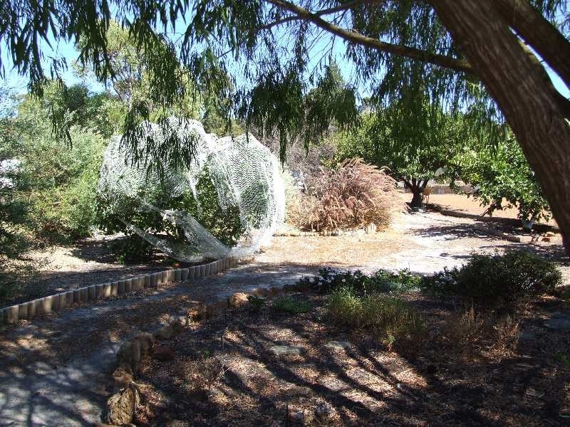 Lot 102, 20 Capel Street, Kirup WA 6251