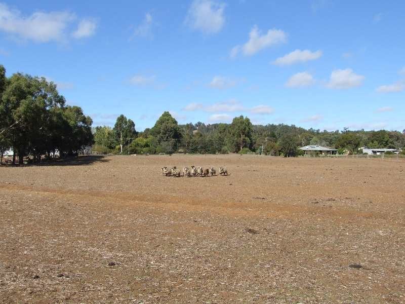 Lot 32,  Fowler St, Yabberup WA 6239