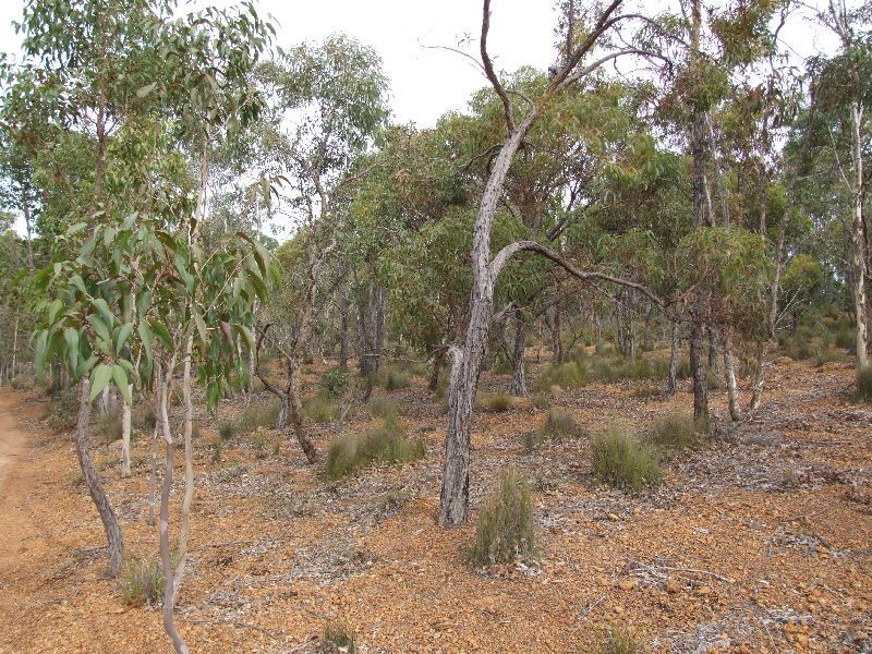 183 Wade Road, Brookhampton WA 6239