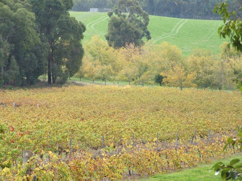 183 Wade Road, Brookhampton WA 6239