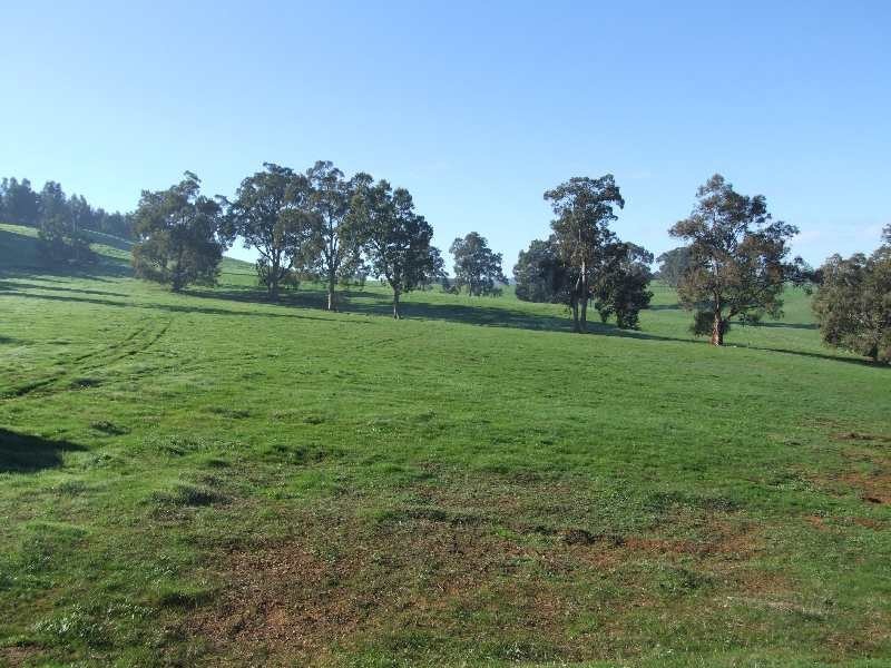 Lot 100, King Spring Rd, Thomson Brook WA 6239