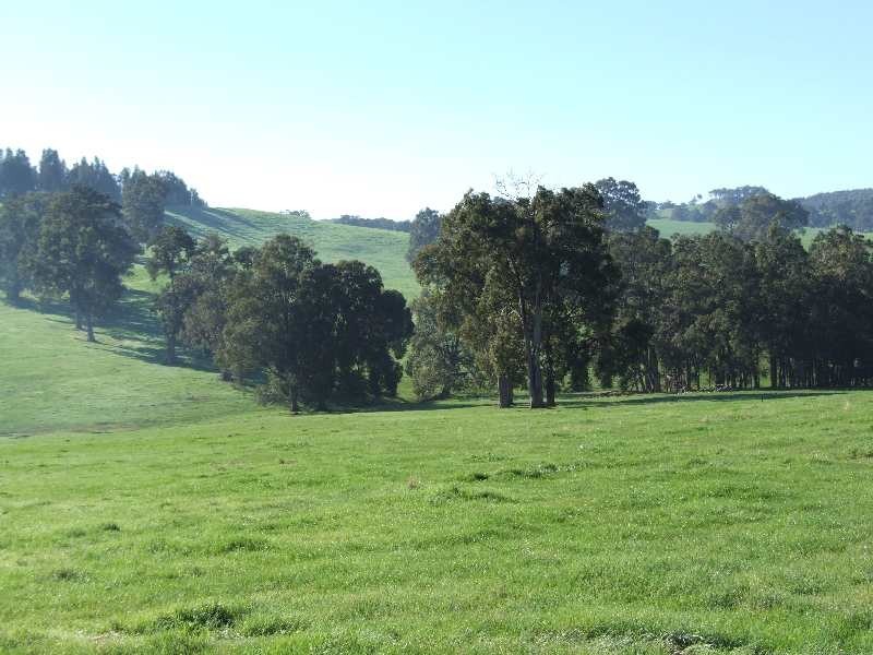 Lot 100, King Spring Rd, Thomson Brook WA 6239