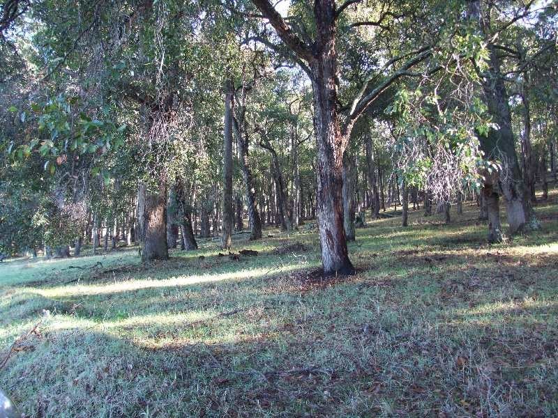 Lot 100, King Spring Rd, Thomson Brook WA 6239