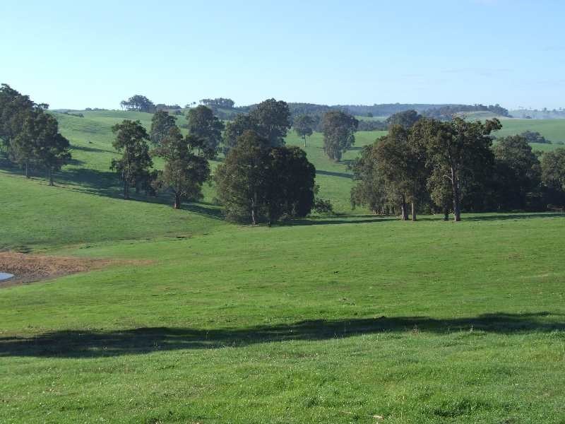 Lot 100, King Spring Rd, Thomson Brook WA 6239