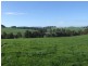 Lot 100, King Spring Rd, Thomson Brook WA 6239
