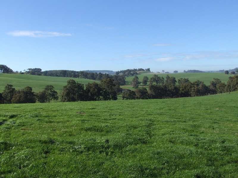 Lot 100, King Spring Rd, Thomson Brook WA 6239