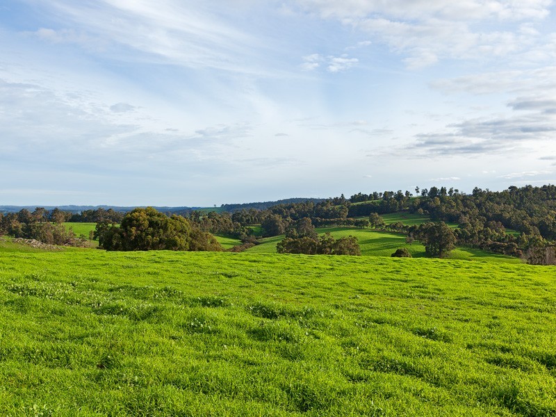 266 Trevena Road, Donnybrook WA 6239