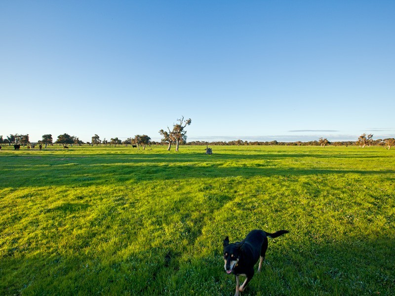 301 Herron Point Road, Birchmont, Coolup WA 6214