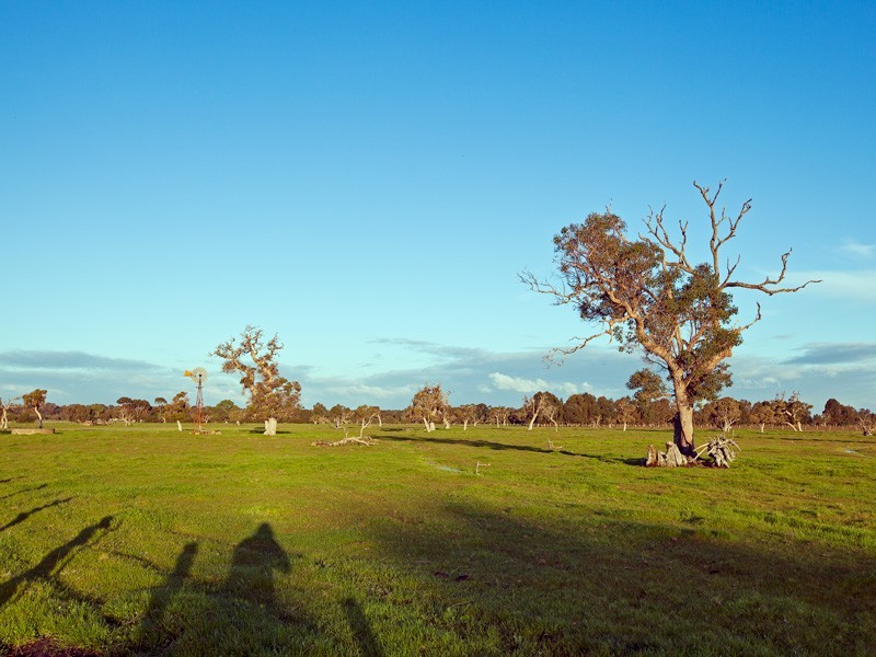 301 Herron Point Road, Birchmont, Coolup WA 6214