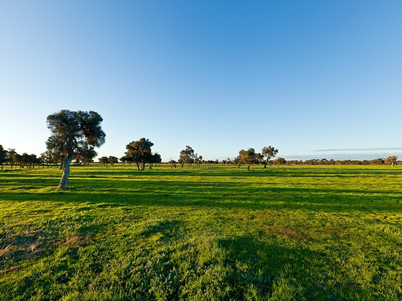 301 Herron Point Road, Birchmont, Coolup WA 6214