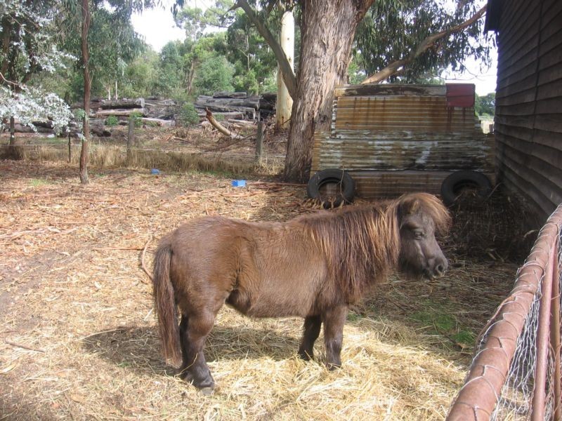 1627 Donnybrook-Boyup Brook Road Yabberup, Donnybrook WA 6239