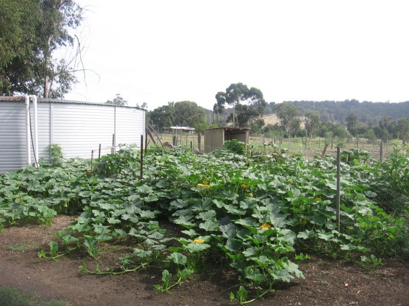 1627 Donnybrook-Boyup Brook Road Yabberup, Donnybrook WA 6239