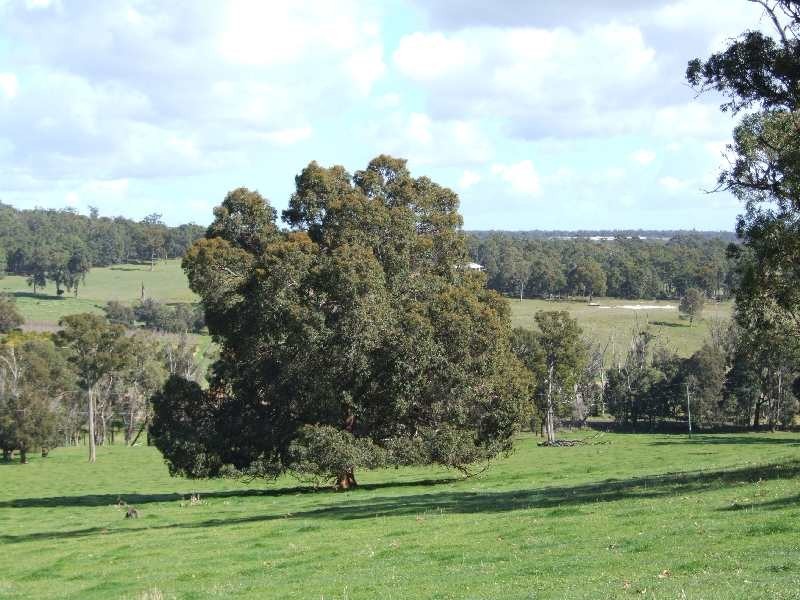 Lot 100,  Charley Creek Rd, Charley Creek WA 6239