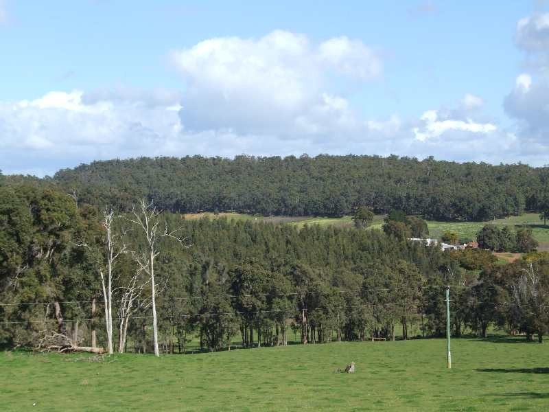 Lot 100,  Charley Creek Rd, Charley Creek WA 6239