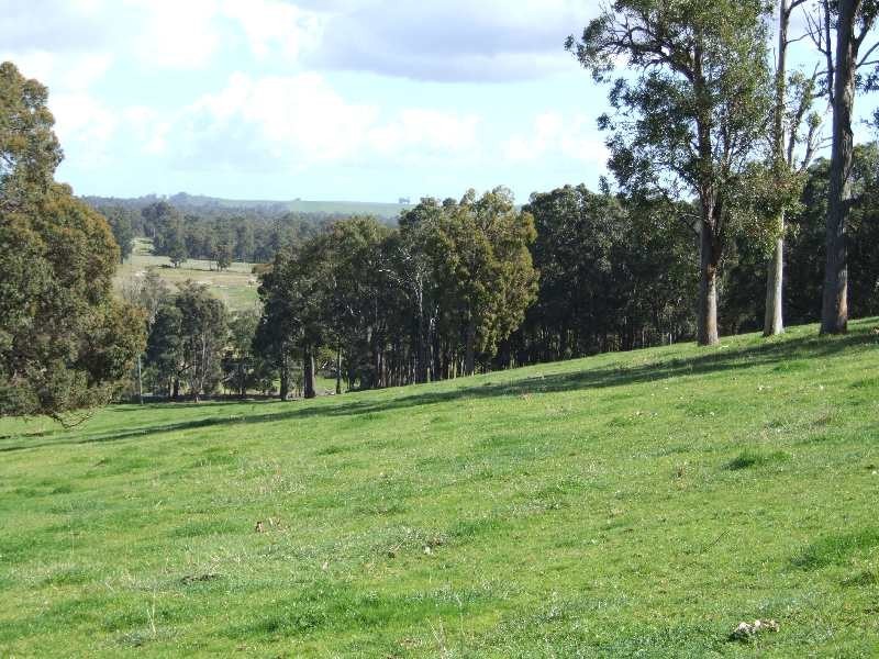 Lot 100,  Charley Creek Rd, Charley Creek WA 6239