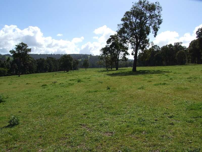 Lot 100,  Charley Creek Rd, Charley Creek WA 6239