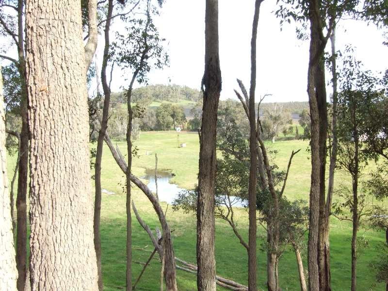 Lot 100,  Charley Creek Rd, Charley Creek WA 6239