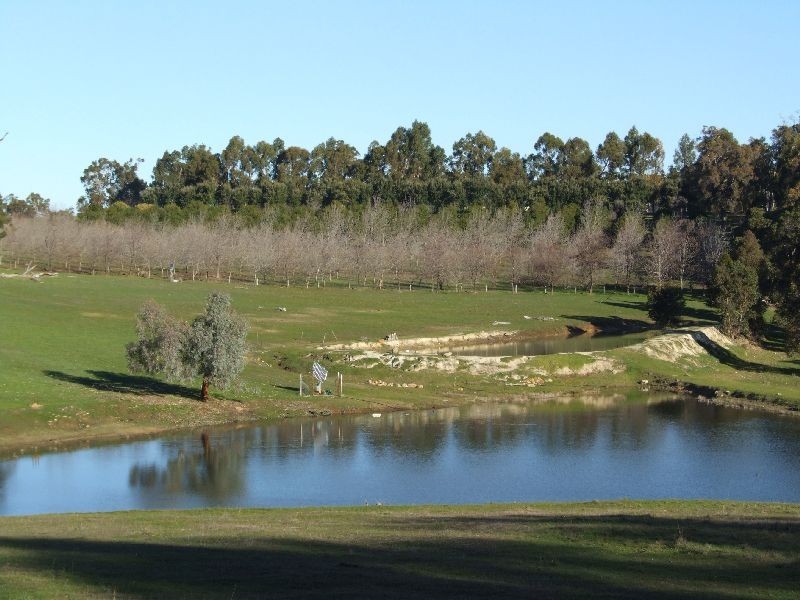 99 Carmichael Rd, Yabberup WA 6239