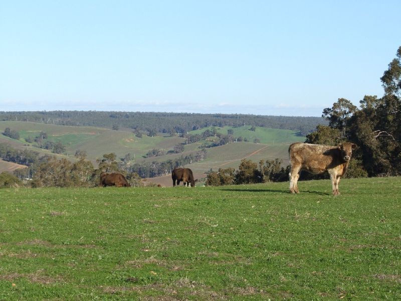 99 Carmichael Rd, Yabberup WA 6239